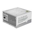 GIGABYTE 1000W GOLD F/M 1000GM PG5 ICE