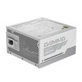 GIGABYTE 850W GOLD F/M 850GM PG5 ICE