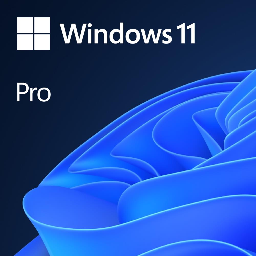 WINDOWS 11 PROFESSIONAL 64-BIT ENGLISH