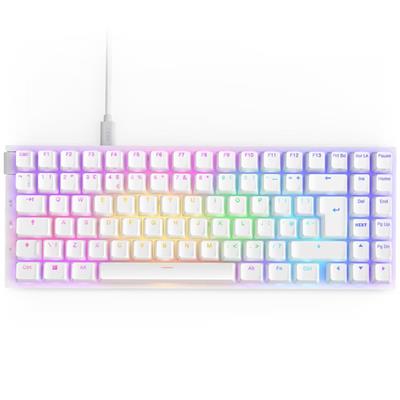 NZXT FUNCTION 2 RGB KB MINI WHT UK ISO