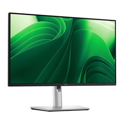 DELL 24 IPS MONITOR P2425D
