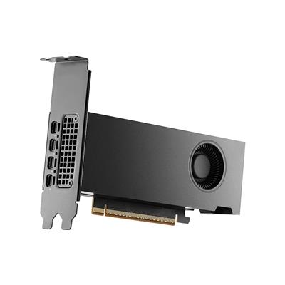 PNY RTX PRO 2000 BLACKWELL 16GB